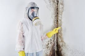 Best Water Damage & Mold Remediation  in Duarte, CA